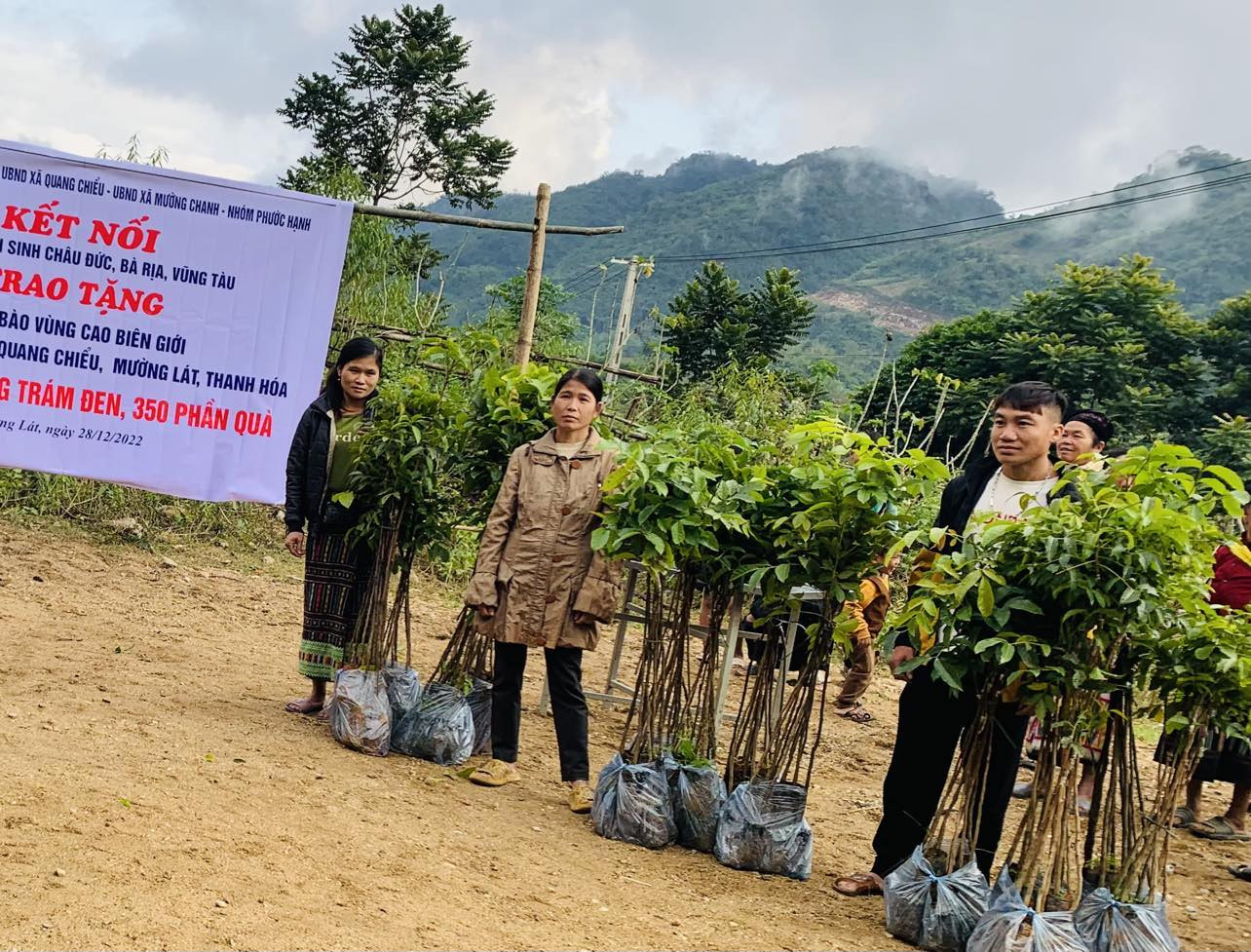 trao tang cay tram .jpg