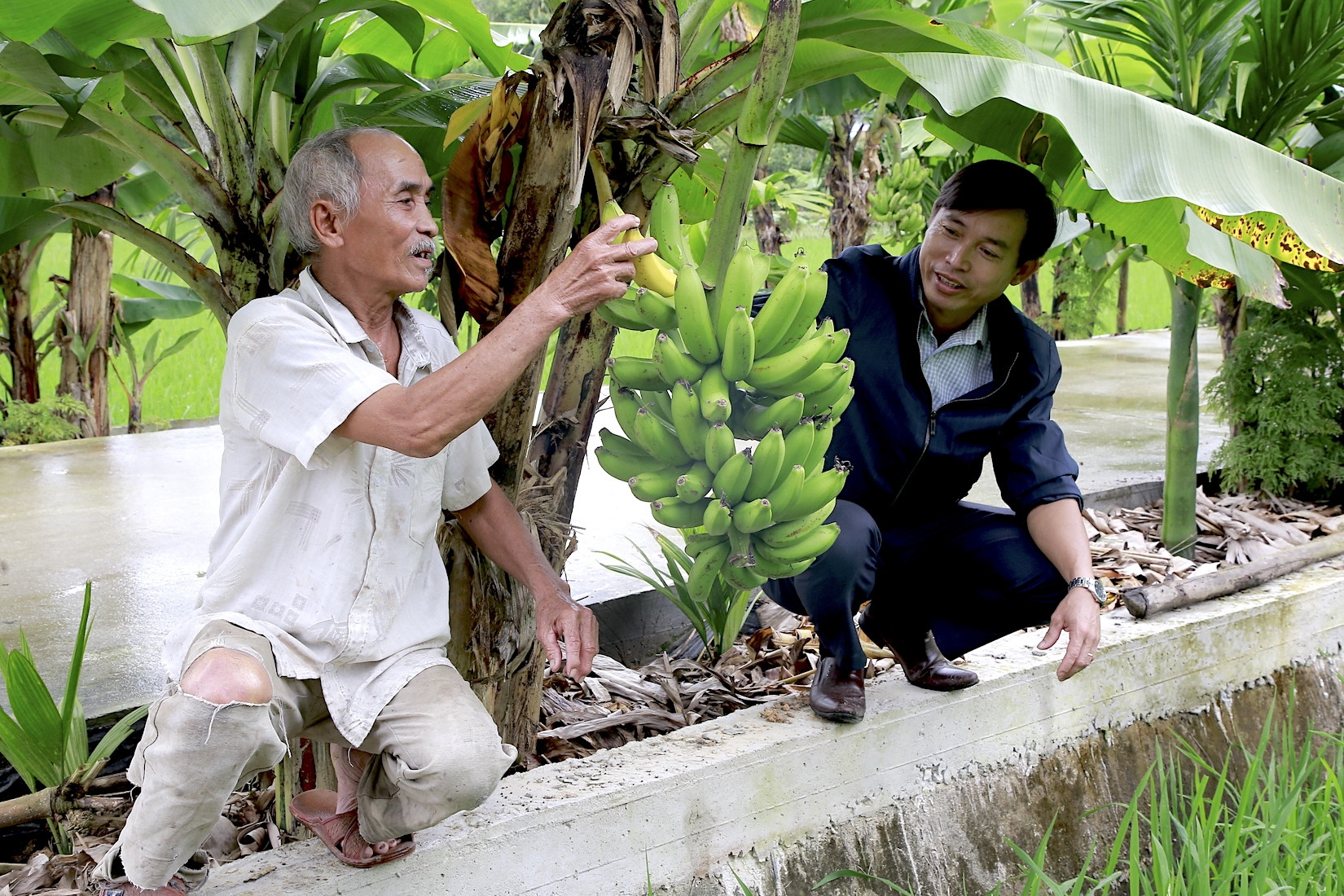 Hơn 1 thập kỷ 'vượt chướng ngại vật', Quế Hiệp bứt phá 'về đích' nông thôn mới