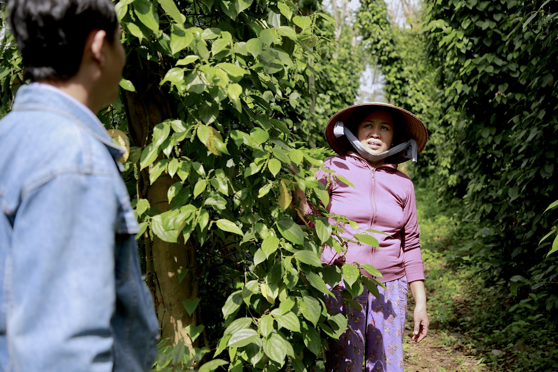 Lấy sức mạnh lòng dân làm nòng cốt, Bình Quế ‘giải bài toán’ nông thôn mới