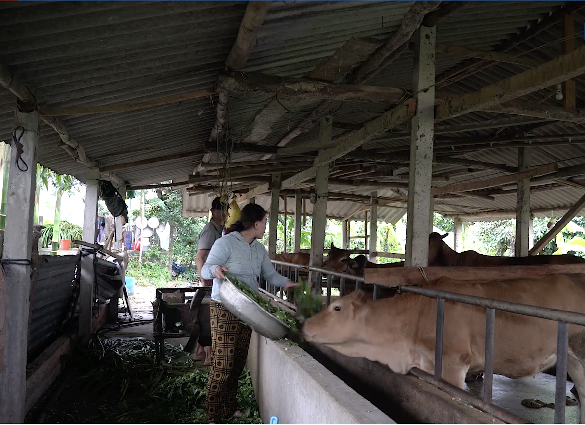 Ứng dựng KH&CN, chuyển đổi số góp phần thúc đẩy giảm nghèo bền vững