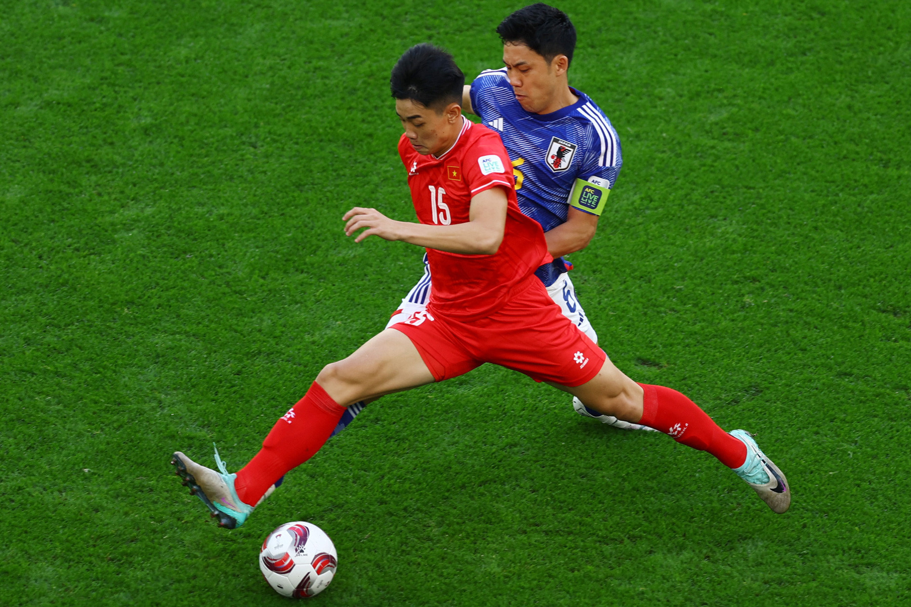 endo dinh bac nhat ban viet nam.jpg