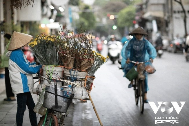 festive tet atmosphere prevails on every corner of capital picture 6