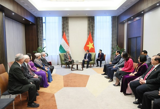 PM receives leaders of Hungarian association, parties in Budapest hinh anh 1