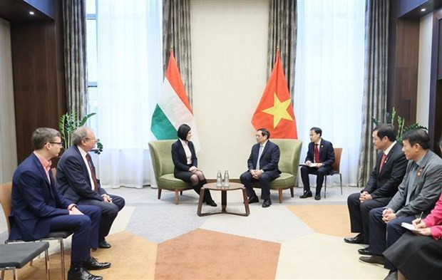 PM receives leaders of Hungarian association, parties in Budapest hinh anh 2