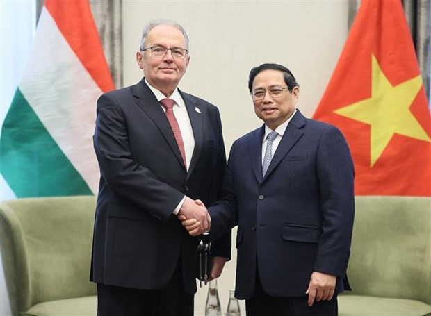 PM receives leaders of Hungarian association, parties in Budapest hinh anh 3