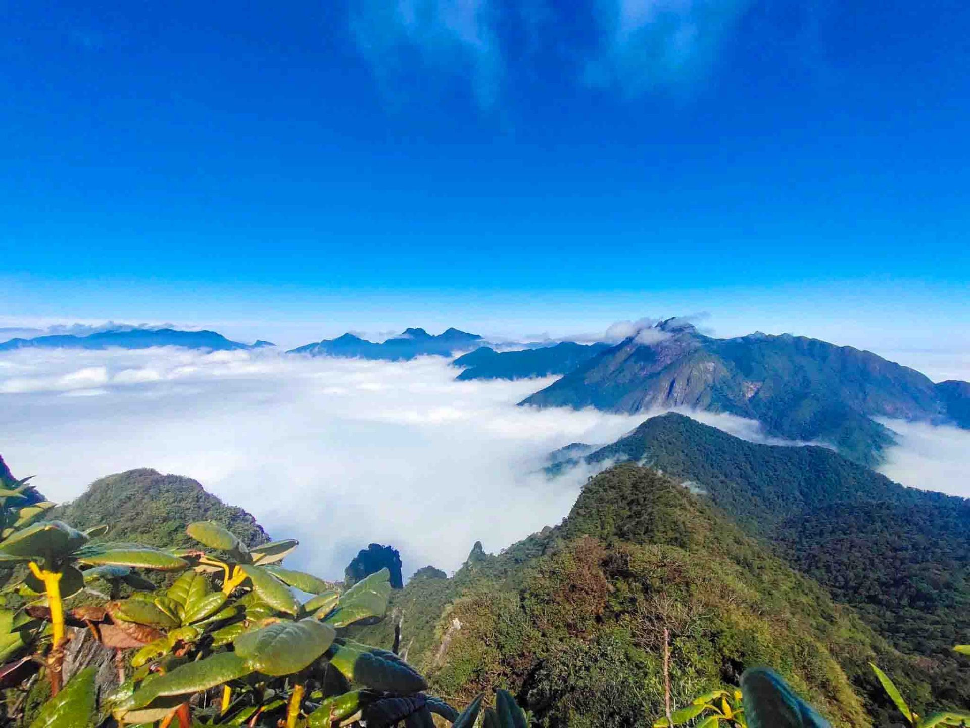 Conquering the enchanting Ta Lien Son Peak