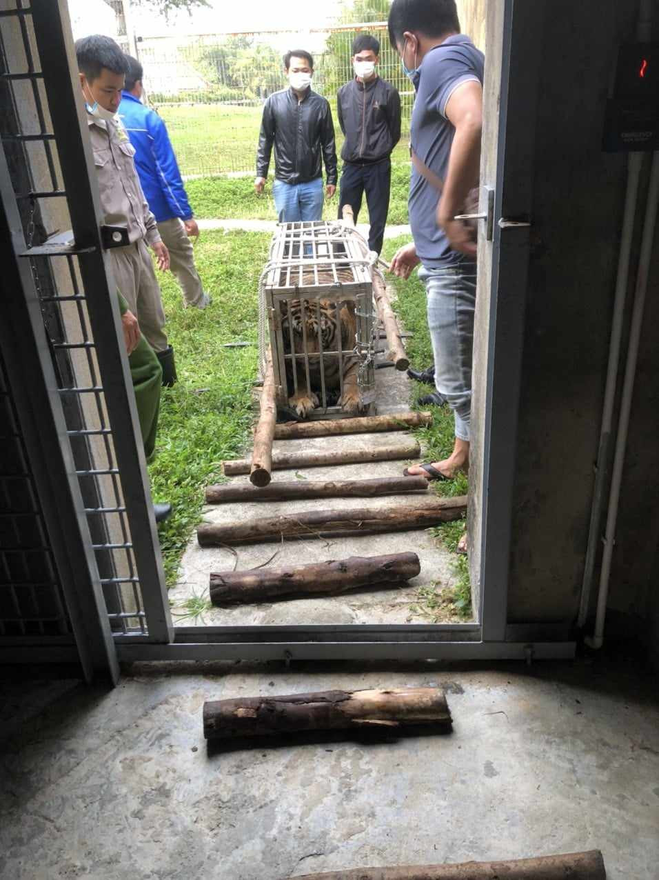 40c84d17 7205 4560 a962 afe6e69dc95c.jpeg