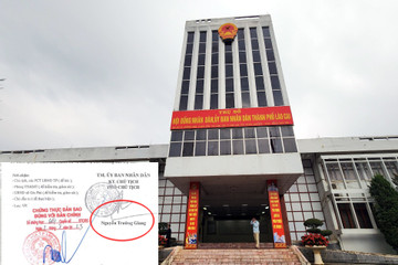 Lý do Lào Cai chứng thực vào tài liệu giả của công ty cung ứng bò ở Điện Biên