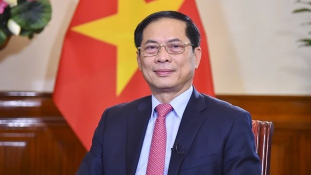 PM’s Europe tour successful in multiple aspects: Foreign Minister hinh anh 1