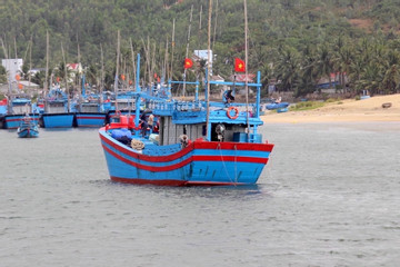Tàu cá tỉnh Bình Định bị chìm trên biển, 5 ngư dân thoát nạn