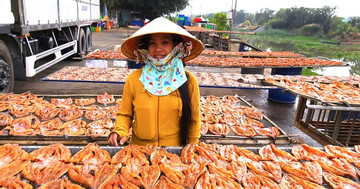 Tet delicacies: Irresistible specialties from Mekong Delta region