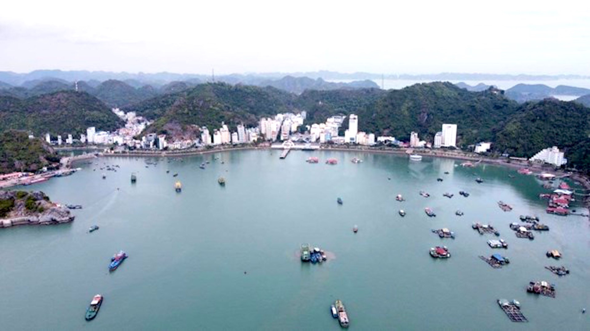 cat ba vietnamnet.jpg