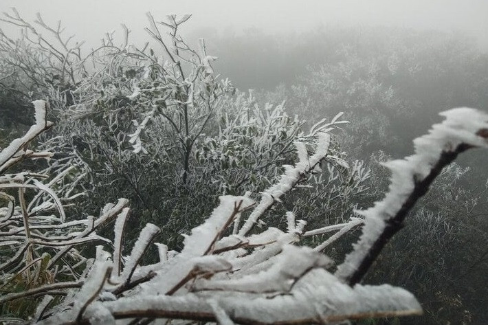 Mau Son peak covered in frost as temperatures sink to -1.1 degrees Celsius