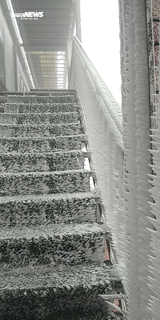 mau son peak covered in frost as temperatures sink to -1.1 degrees celsius picture 7