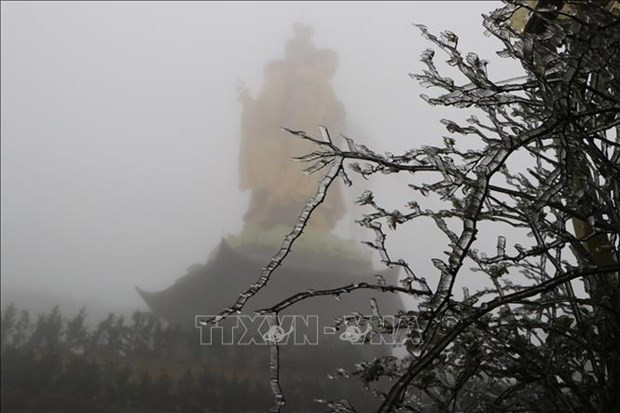 PM calls for preventive solutions against severe cold wave hinh anh 1