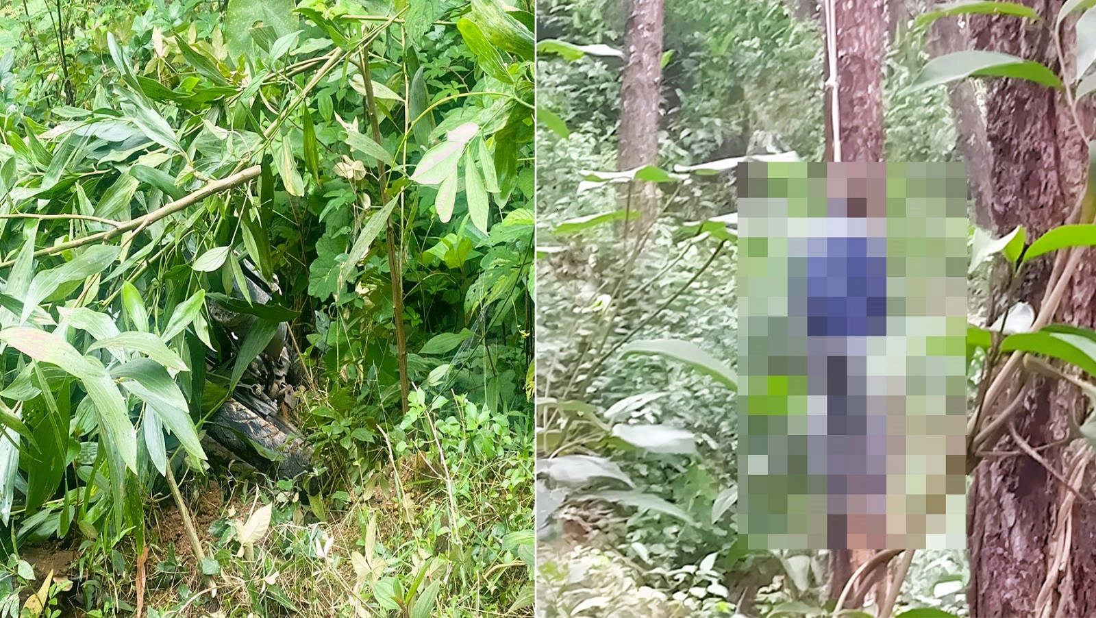 415841759 7148654385210926 1871676440712452344 n.jpg