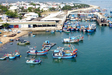 Chống khai thác IUU: Tập trung quản lý hoạt động ở cảng cá