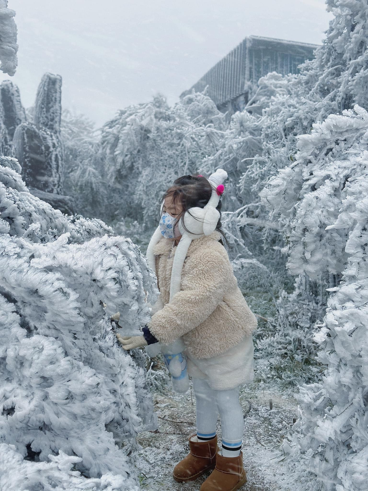 me cho con di choi bang tuyet o mau son 3.jpg