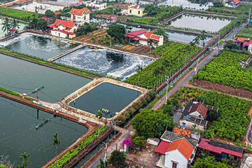 Nam Định phấn đấu đạt chuẩn nông thôn mới nâng cao vào năm 2025