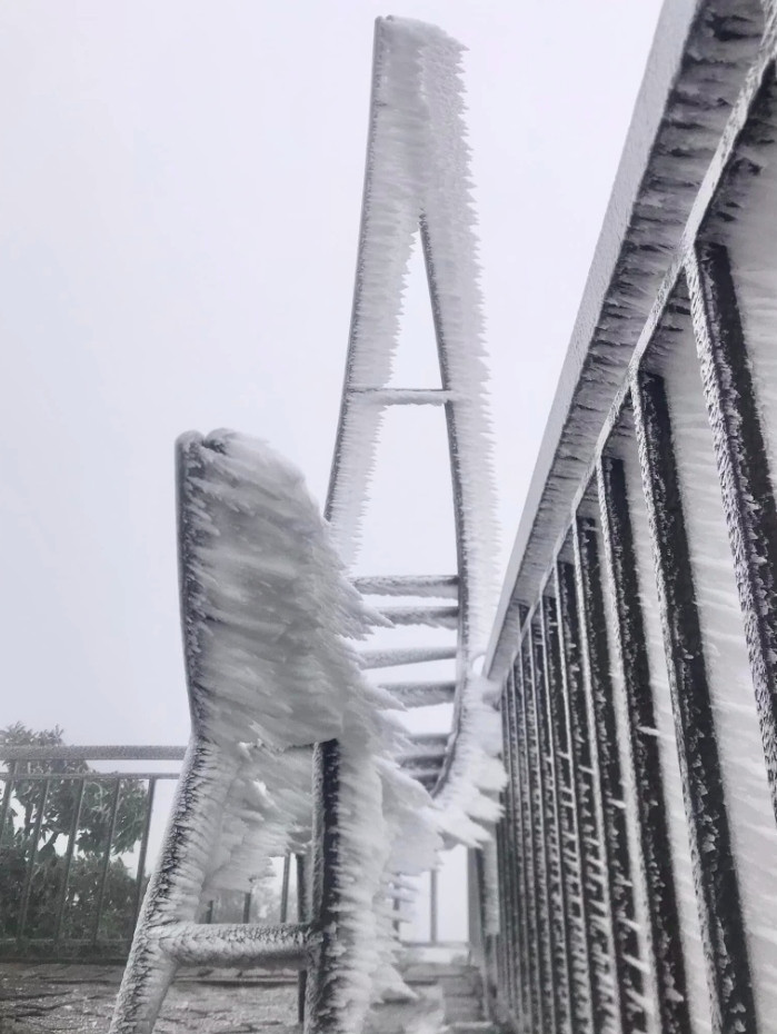 tourists flock to see frost on mau son peak picture 1