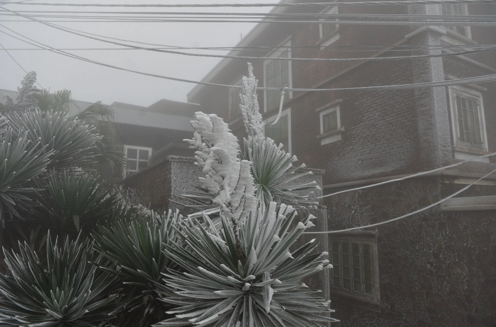 tourists flock to see frost on mau son peak picture 6