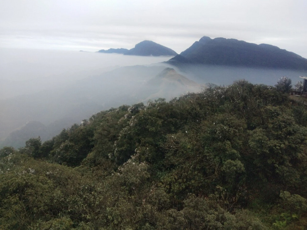 tourists flock to see frost on mau son peak picture 9