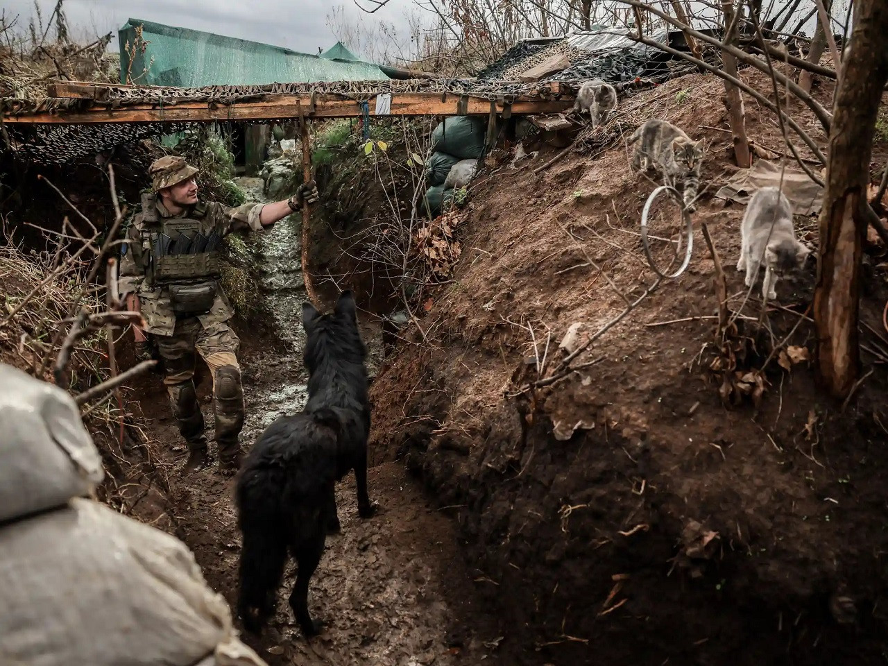 ukra trench 4.jpg