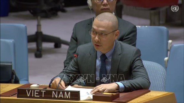 Vietnam renews appeal for immediate ceasefire in Gaza Strip hinh anh 1