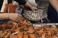 Bản tin chiều 26/1: Ăn buffet ở Hà Nội, nhóm khách đút túi hơn 10kg hải sản