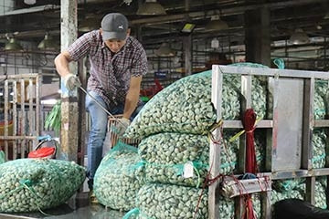 Chợ đầu mối ở TP.HCM bị chợ tự phát 'bao vây'