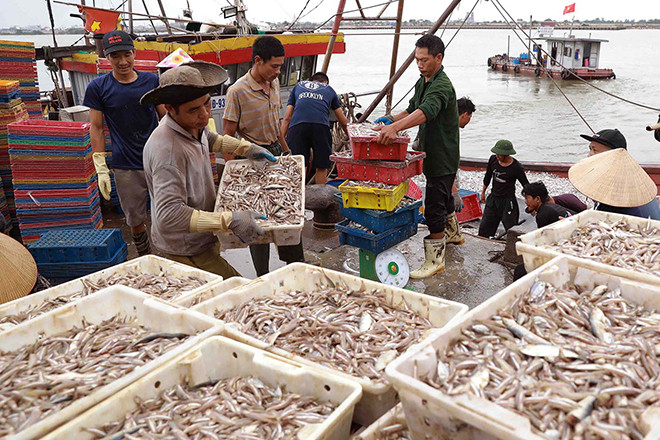 Gỡ thẻ vàng IUU góp phần phát triển kinh tế biển bền vững