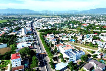Ninh Thuận sắp đấu giá 73 lô đất, khởi điểm gần 500 triệu đồng