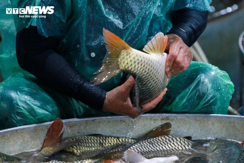 traders in yen so fish market make a living on freezing cold nights picture 7