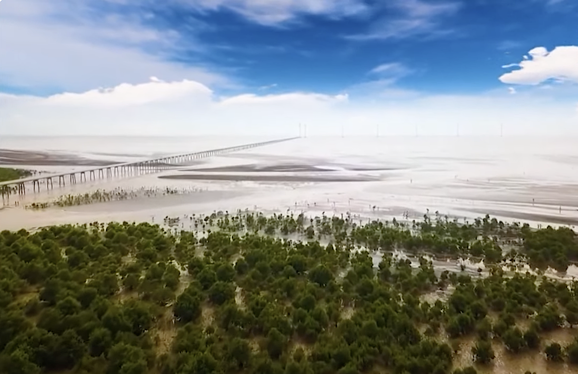 Chủ động thực thi các công ước quốc tế nhằm bảo vệ biển cả