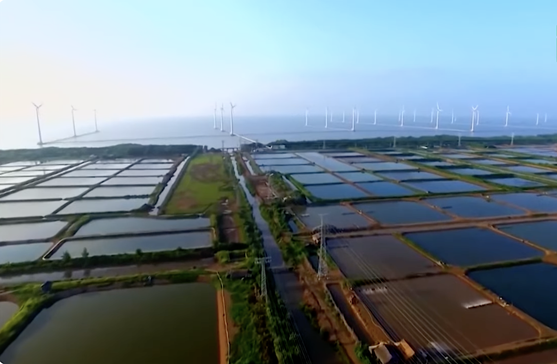 Việt Nam cam kết tham gia nỗ lực chung của nhân loại nhằm thúc đẩy năng lượng sạch