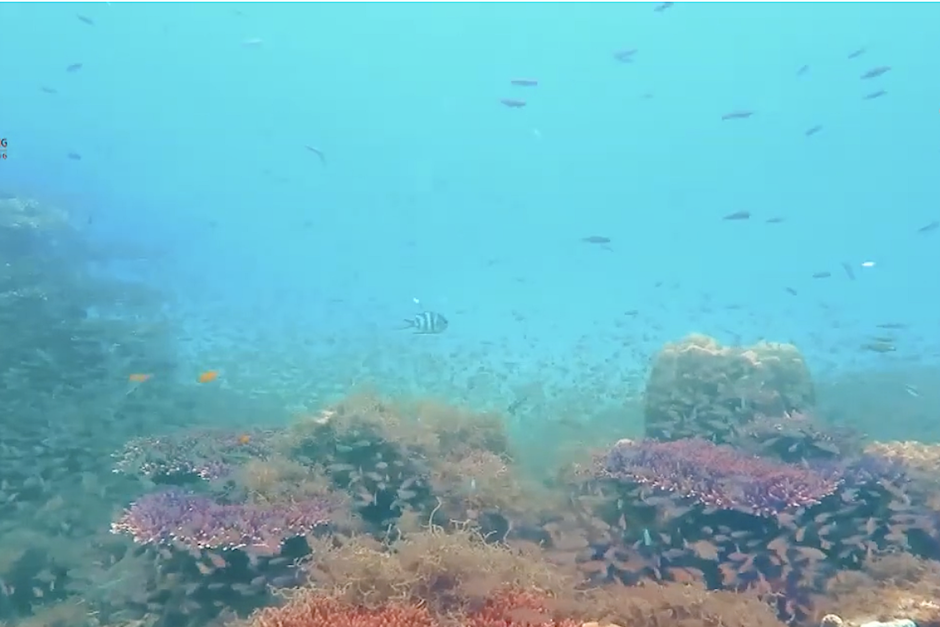 UNCLOS- 