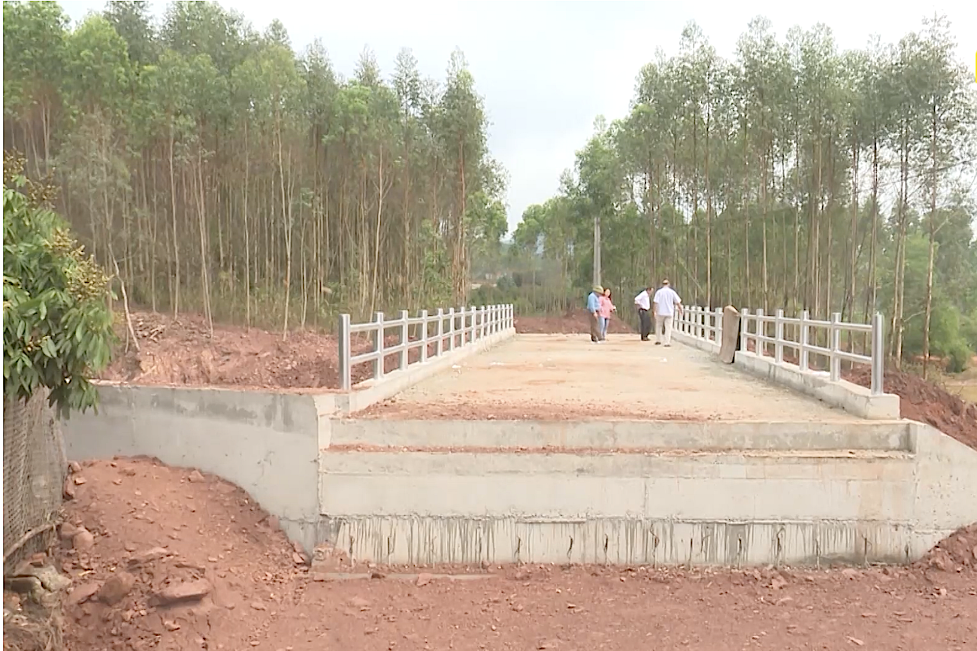 Vượt khó để thực hiện có hiệu quả dự án hỗ trợ phát triển sản xuất ở vùng đồng bào DTTS và MN
