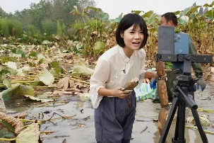 Bỏ việc thành phố, cô gái về quê khởi nghiệp tạo việc cho cả làng