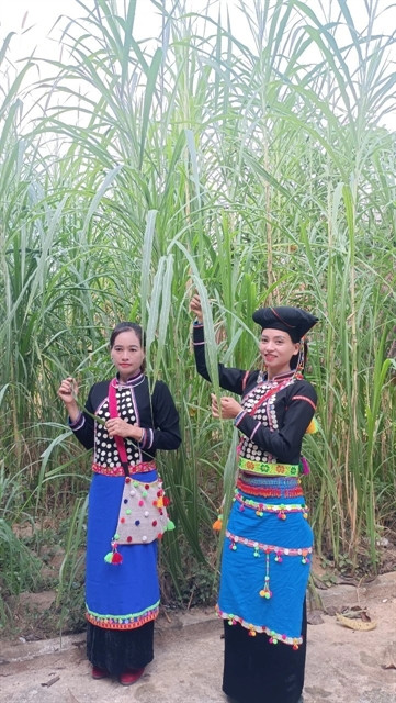 Si La headscarf serves as symbol of love