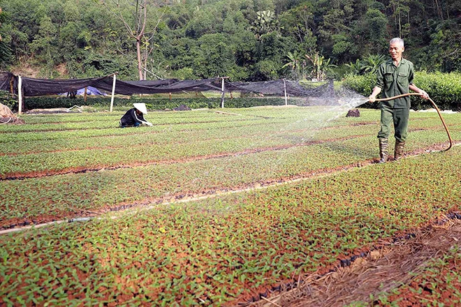 Bắc Kạn: Xây dựng nông thôn mới gắn với thế mạnh kinh tế lâm nghiệp