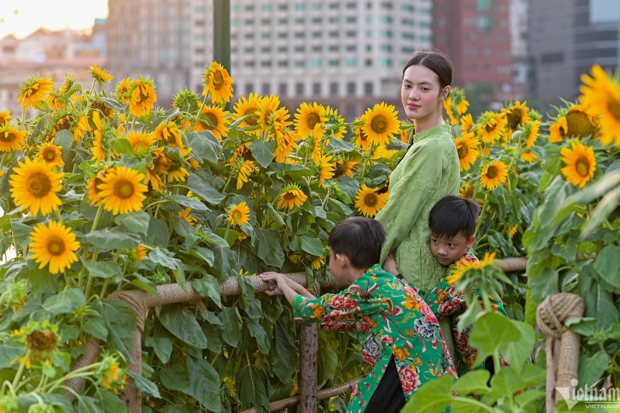 Đề xuất cải tạo đất bỏ hoang, dự án treo thành 6 công viên ở TP.HCM