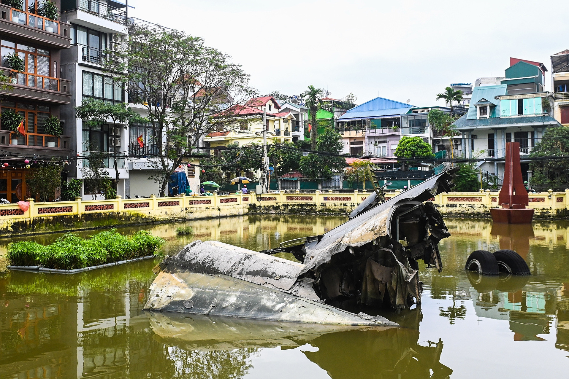 Hoa vẫn nở trong thế giới xoay vần