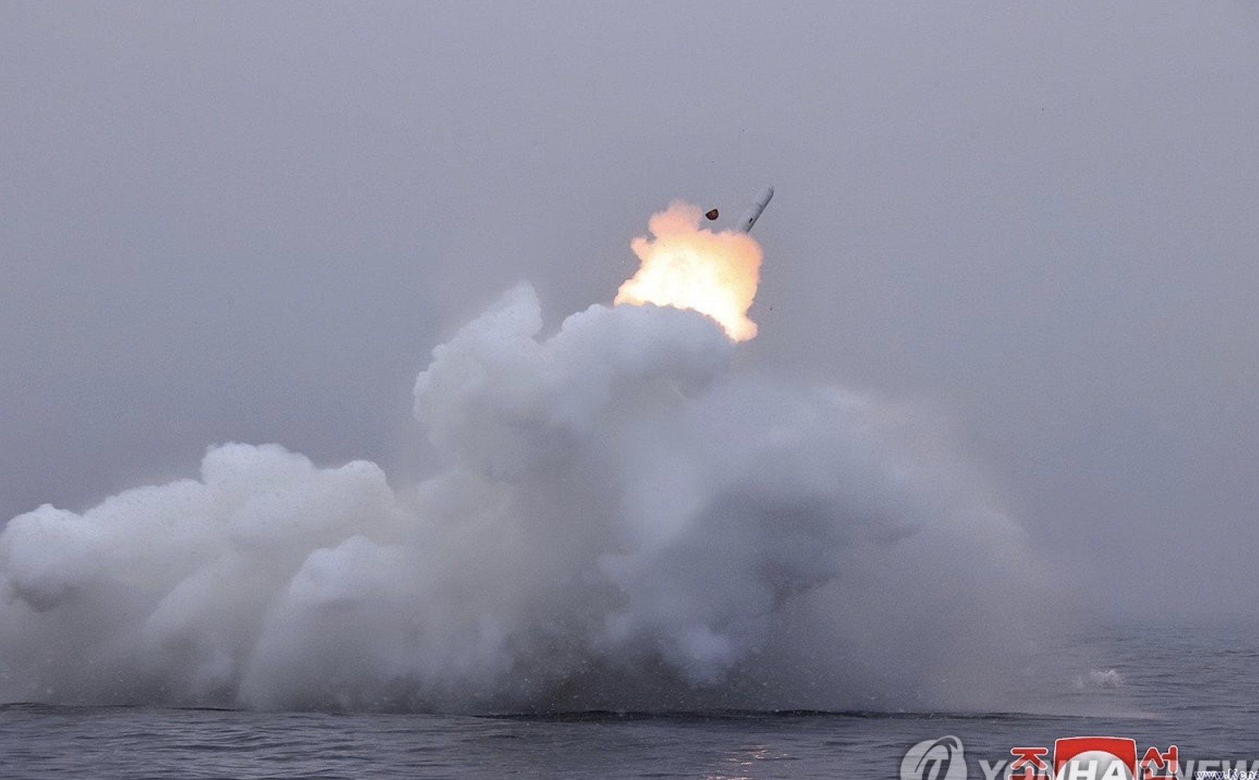 screenshot 2024 01 29 at 152436.jpg