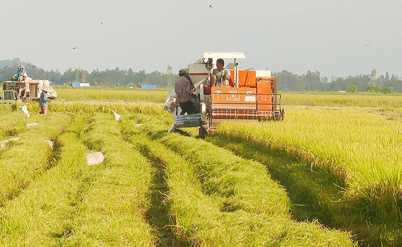 anh bai 38.jpg