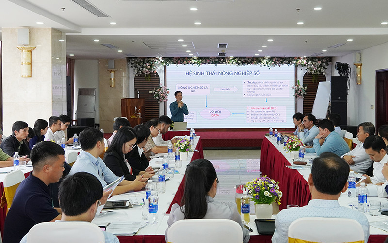 anh tin quang binh.jpg