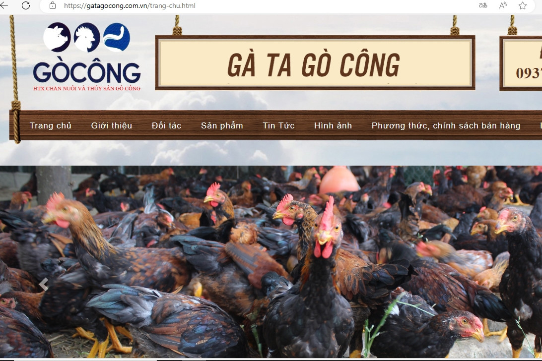 Bí quyết thành công của Hợp tác xã “Gà ta Gò Công”