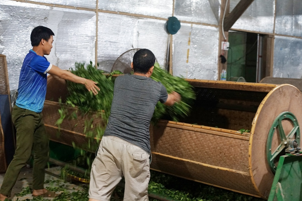 Cà Mau: Nhiều chính sách hỗ trợ các hợp tác xã nông nghiệp