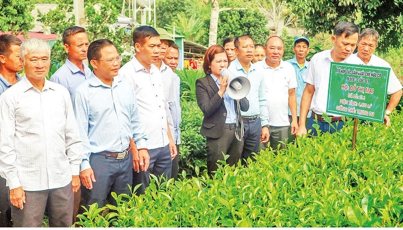 che huu co thai nguyen.jpg