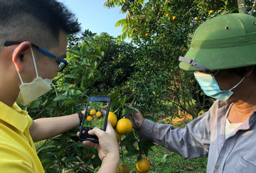 Cùng nông dân đưa nông sản Việt lên sàn thương mại điện tử