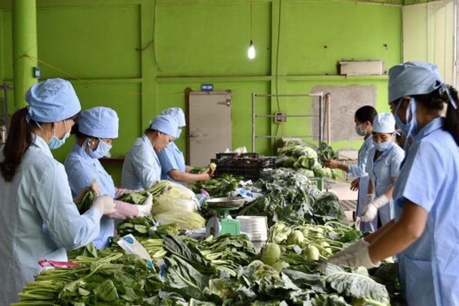 Điển hình chuyển đổi thành công mô hình hợp tác xã kiểu mới ở Hà Nội